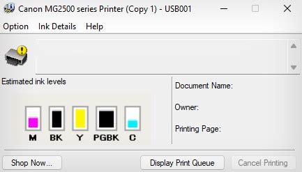 Image result for Printer Cartridges Levels