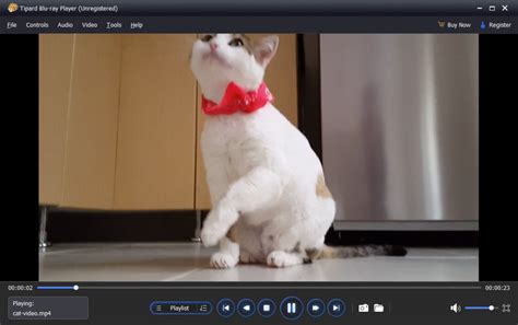 Image result for HEVC Player Features