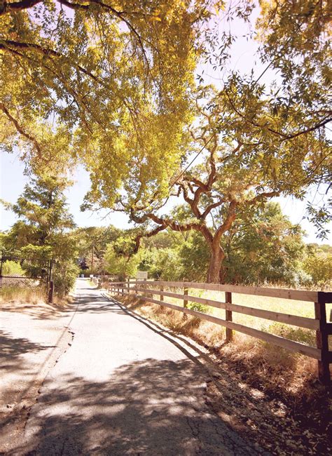 Residential Care - Mountain Vista Farm