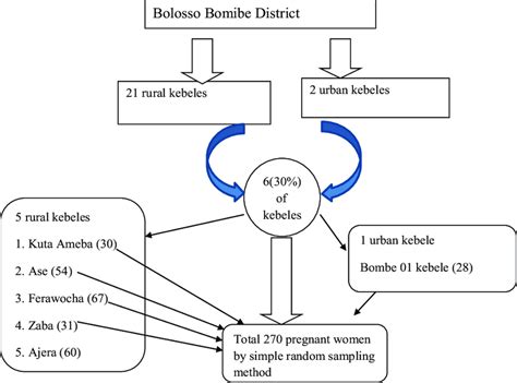 Image result for Sampling Procedure Example in Research Paper
