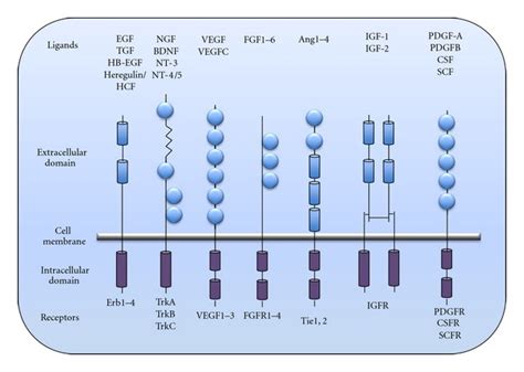 Image result for RTK Structure