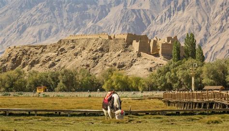 Asia was the world’s ‘disaster capital’ in 2023, with all climate ...