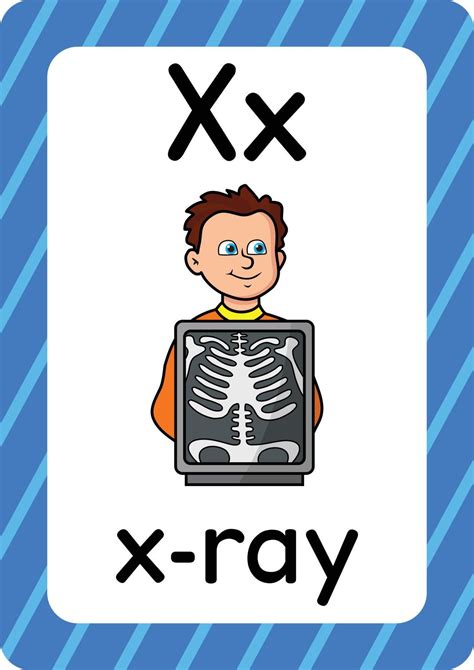 X ray vector isolated on white background letter X flashcard X ray cartoon in 2025 | Alphabet ...