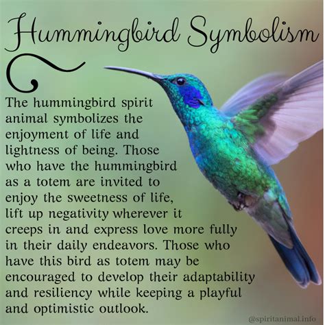 Bird Symbolism Meaning Spirit, Totem, Power Animal, 44% OFF