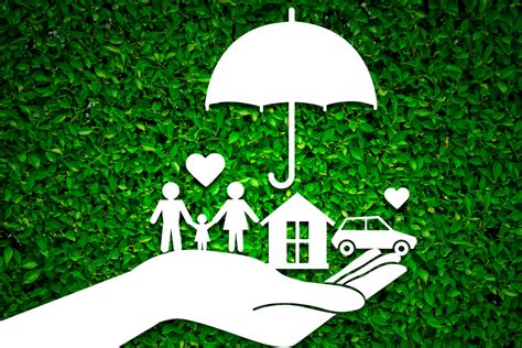 Image result for Financial Protection