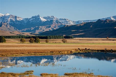 Image result for Storage Conditions API