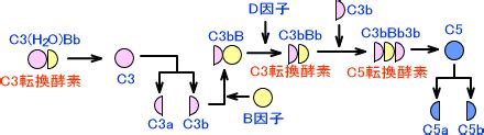 Image result for Intangible Assets Types
