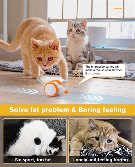 Buy Hoofun Automatic Interactive Cat Toys Mouse: Pet Play Ball Kittens ...