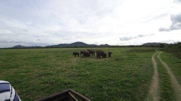 Negombo Tour Package for 7 Days 6 Nights | negombo, trincomalee ...