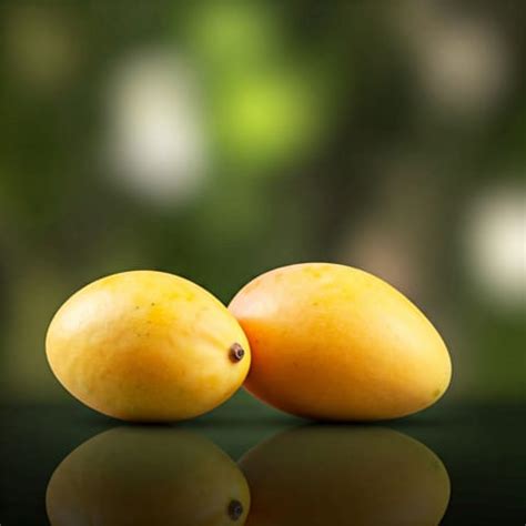 Alphonso Mango online Pune | buy alphonso mango online pune ...