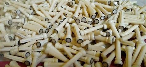 Martin Real Bone Bridge Pins MOP Abalone Inlays For Series D18 Martin ...