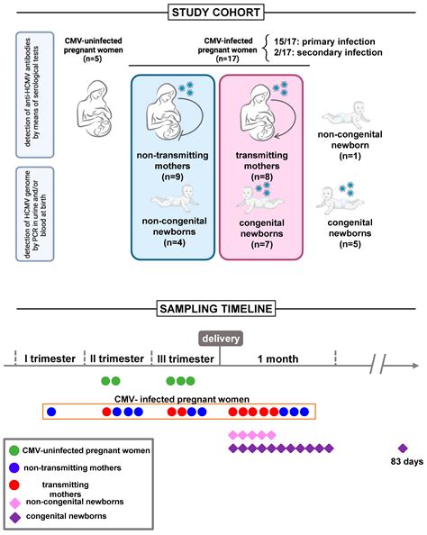 Characterization of Natural Killer Cell Profile in a Cohort of Infected ...