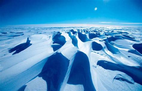 南极印象——呆萌的冰雪世界-南极半岛旅游攻略-游记-去哪儿攻略