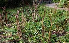 orto e giardino arezzo meteo orto e giardino d inverno orto e giardino arezzo meteo orto e giardino d inverno