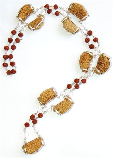 One faced ( 1 mukhi ) Rudraksha - Light of god mala with diamond cutti ...