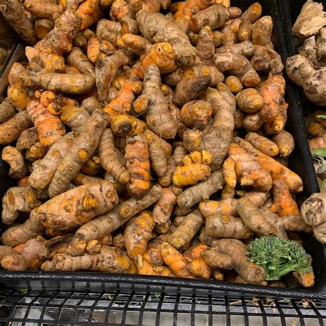 Image result for Computer Processor Symbol