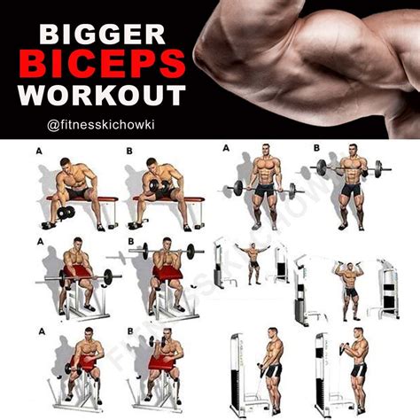Biceps Workout