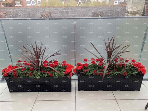 Window Boxes 的图像结果