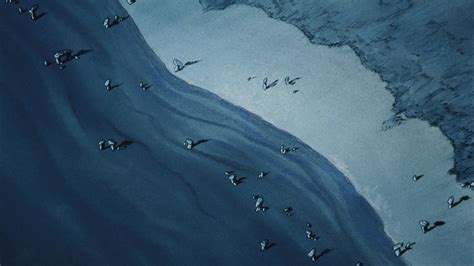 Angel's Egg (1985) Screencap | Fancaps