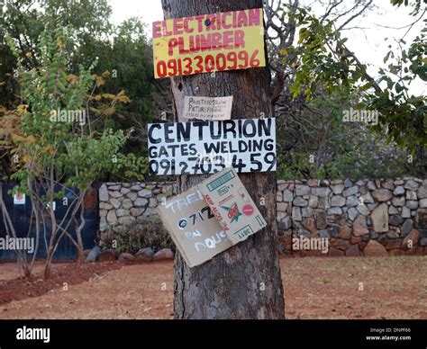 makeshift advertising trees, Harare, Zimbabwe Stock Photo - Alamy