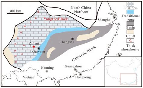 Assessment of the Effect of Organic Matter on Rare Earth Elements and ...