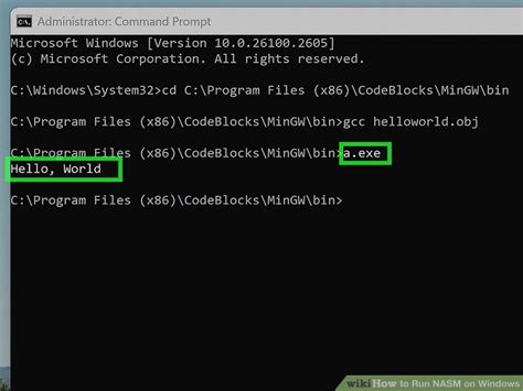 NASM Computer Program 的图像结果