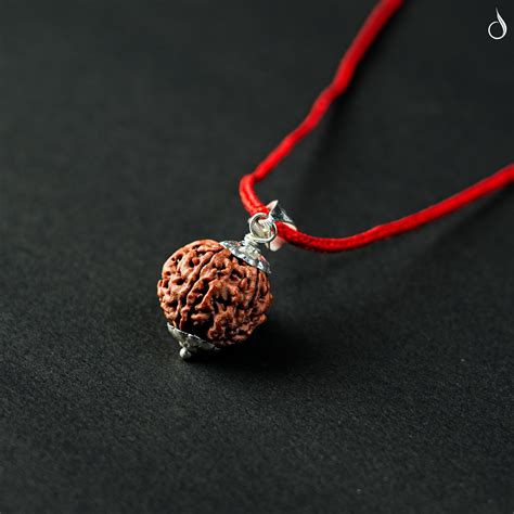 5 Mukhi Nepali Rudraksha - Panch Mukhi and Lab Certified – Devprayagjal