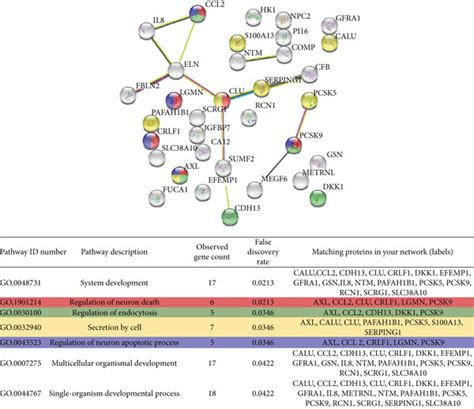 Image result for STRING Protein Interactions