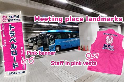 2026 Day trip ski to the RyuoSkiPark, Night bus+lift ticket+rental ski ...