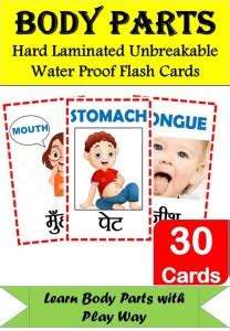vinayak computers Parts of Body Hard Laminated Flash Cards with Both ...