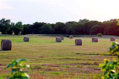 Oklahoma Hay Field Free Stock Photo - Public Domain Pictures