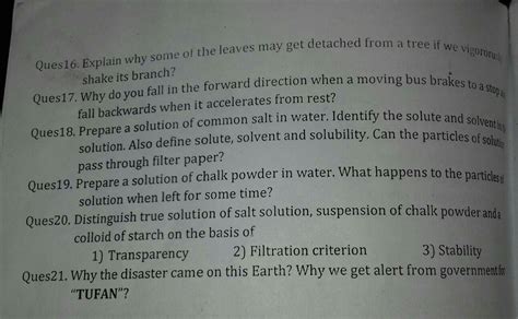 explain why some of the leaves may gey detached from a tree if we ...