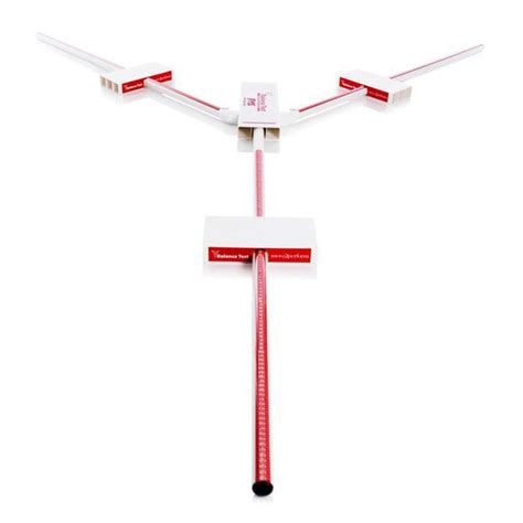 Image result for Y Balance Test Explained