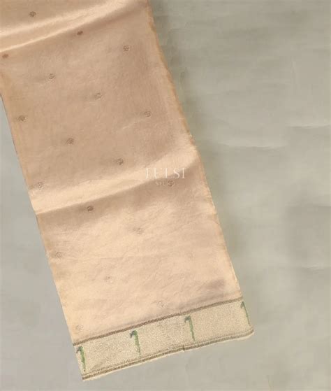 Buy Beige Kora Tissue Organza Embroidery Saree T490727