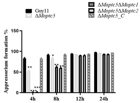 Protein Phosphatases MoPtc5, MoPtc1, and MoPtc2 Contribute to the ...