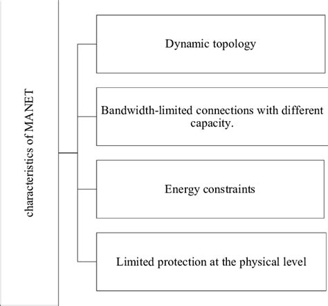 Image result for How Does Manet Work