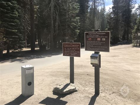 Tamarack Flat Campground, Yosemite National Park, CA - Latest Reviews ...