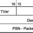Datagram Header 的图像结果