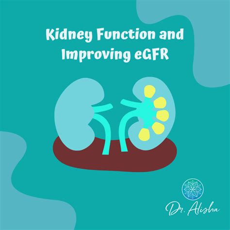 Kidney Function and Improving eGFR | Naturopathic Doctor | Dr. Alisha N.D.