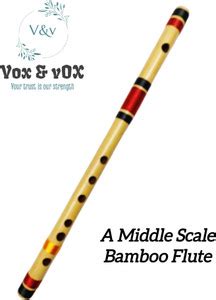Vox and Vox Tuned A Scale 6 Hole Flutes For Beginners and Learner's ...