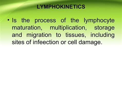 Image result for Lymphocyte Precursor