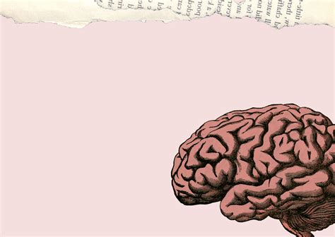 Brain Map 的图像结果