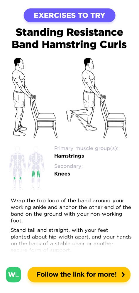 Hamstring Exercises With Bands at Marcelene Grant blog