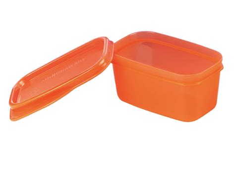 Buy SignoraWare 160ml Fresh Small Box Container, Bpa Free Food Grade ...