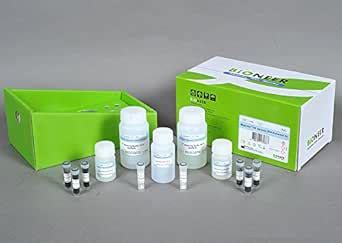 MagListo™ 5M Genomic DNA Extraction Kit, 100 rxn in mini : Amazon.in ...