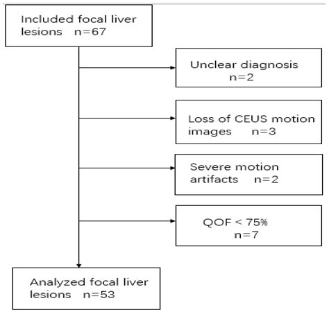 Application of Quantitative Parameters of Contrast-Enhanced Ultrasound ...