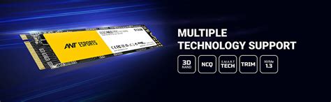 Amazon.in: Buy Ant Esports 690 Neo Pro M.2 NVME 512GB Internal Solid ...