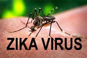 Central team sent to Jaipur after 8 more people test positive for Zika ...