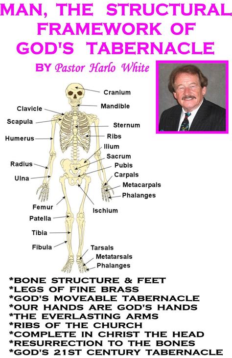 Man, The Structural Framework of God's Tabernacle eBook : White, Pastor ...