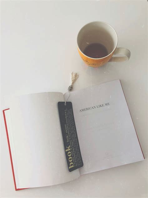 Chapter Six: AMERICAN LIKE ME by America Ferrera – Looking at America ...